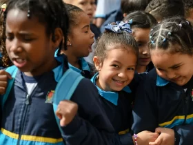 Selo Ouro reconhece avanços da alfabetização infantil em Barra Mansa