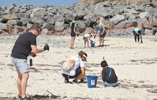 Ação de limpeza e feira ambiental marcam Dia Mundial da Água em Maricá
