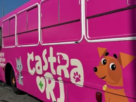 Itaguaí recebe castração gratuita para cães e gatos nesta semana
