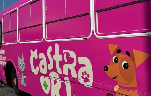 Itaguaí recebe castração gratuita para cães e gatos nesta semana