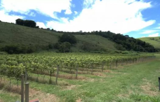 Crea Aqui 2026 destaca força da agronomia no desenvolvimento fluminense