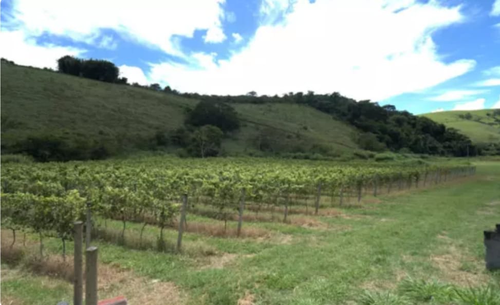 Crea Aqui 2026 destaca força da agronomia no desenvolvimento fluminense