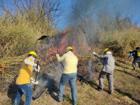 Brigada Florestal Voluntária abre vagas em Nova Iguaçu