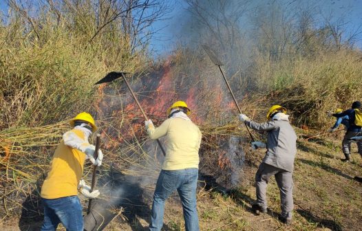 Brigada Florestal Voluntária abre vagas em Nova Iguaçu