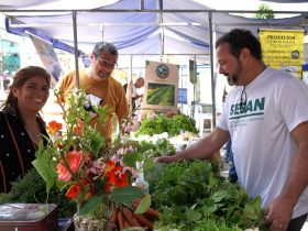 Feira da Roça debate autismo neste sábado em Volta Redonda