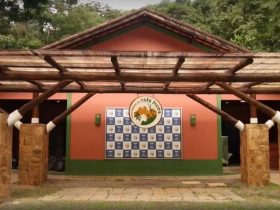 Instalação interativa promove imersão na Mata Atlântica em Cachoeiras de Macacu