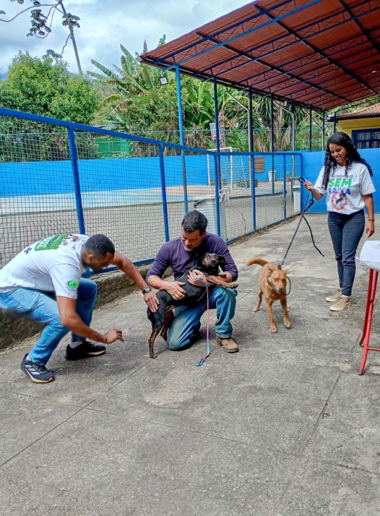 Petrópolis vacina mais de 4,3 mil animais contra a raiva