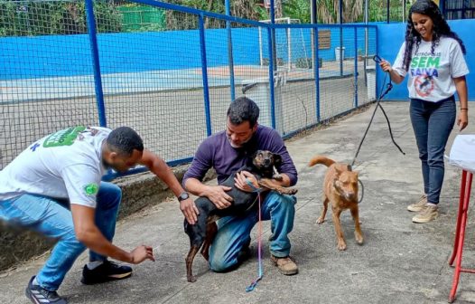 Petrópolis vacina mais de 4,3 mil animais contra a raiva