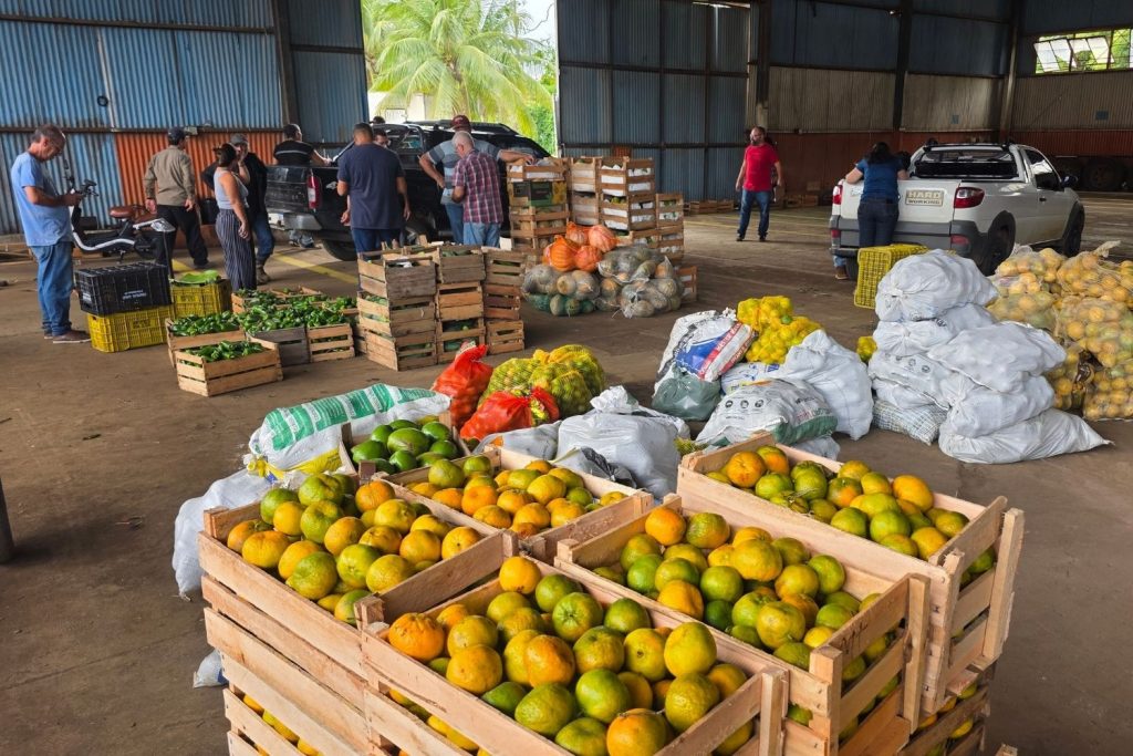 Agricultura de Campos dos Goytacazes entrega 13,2 toneladas pelo PAA