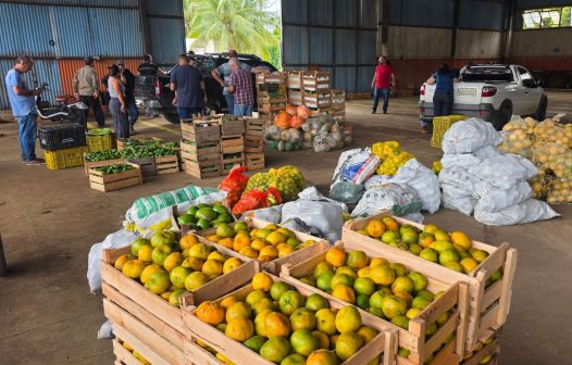 Agricultura de Campos dos Goytacazes entrega 13,2 toneladas pelo PAA