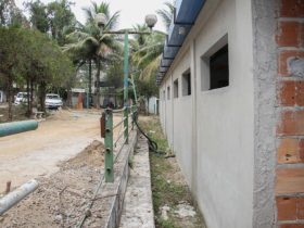 Barra Mansa terá hospital veterinário 24h