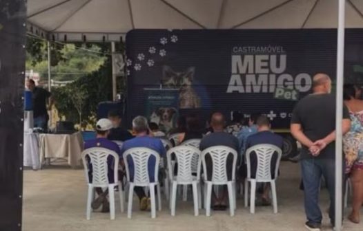 Itaperuna alcança 2 mil castrações de cães e gatos em 2026