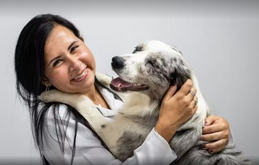 Pet Day Amigo Bicho terá feira de adoção e atrações gratuitas em Petrópolis