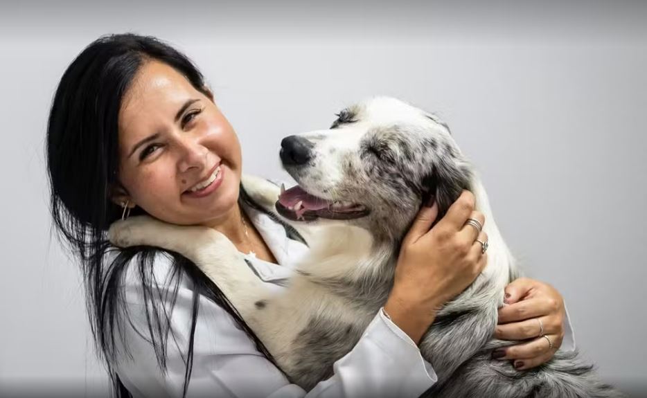 Pet Day Amigo Bicho terá feira de adoção e atrações gratuitas em Petrópolis
