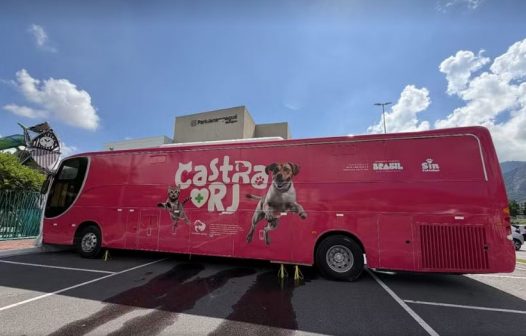 Castra Mais RJ oferece castração gratuita para cães e gatos em Petrópolis