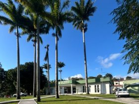 Rio Claro cria Subsecretaria da Mulher