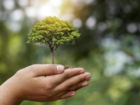 Semana do Meio Ambiente tem programação gratuita em Resende