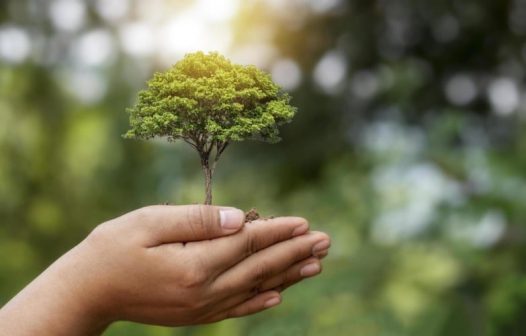 Semana do Meio Ambiente tem programação gratuita em Resende