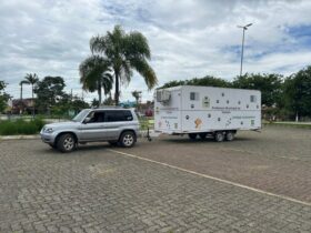 Itatiaia promove ação gratuita com castração, atendimento veterinário e feira de adoção