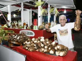 Festa do Aipim começa nesta sexta em Tinguá