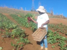 Italva e Cachoeiras recebem encontros sobre agroecologia