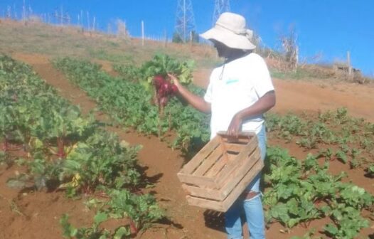 Italva e Cachoeiras recebem encontros sobre agroecologia