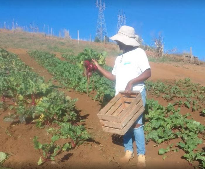 Italva e Cachoeiras recebem encontros sobre agroecologia