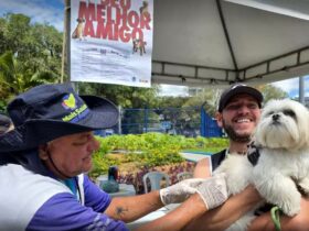 Macaé inicia pré-campanha de vacinação antirrábica para cães e gatos