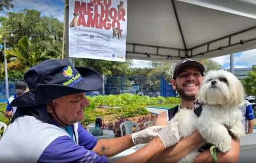 Macaé inicia pré-campanha de vacinação antirrábica para cães e gatos