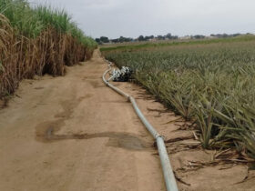 SFI orienta produtores sobre outorga para irrigação