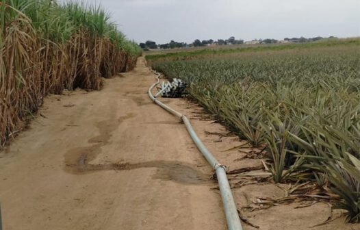 SFI orienta produtores sobre outorga para irrigação