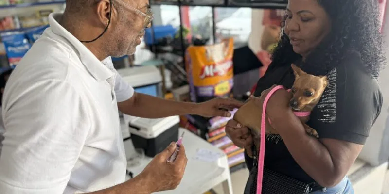 Cabo Frio realiza feira de adoção animal com vacinação