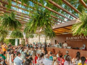 Harmonia e gastronomia na Lagoa
