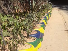 Petrópolis transforma pneus em jardins
