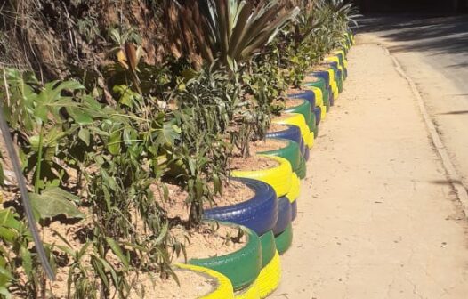 Petrópolis transforma pneus em jardins