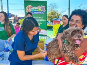 Meriti vacina 20 mil cães e gatos