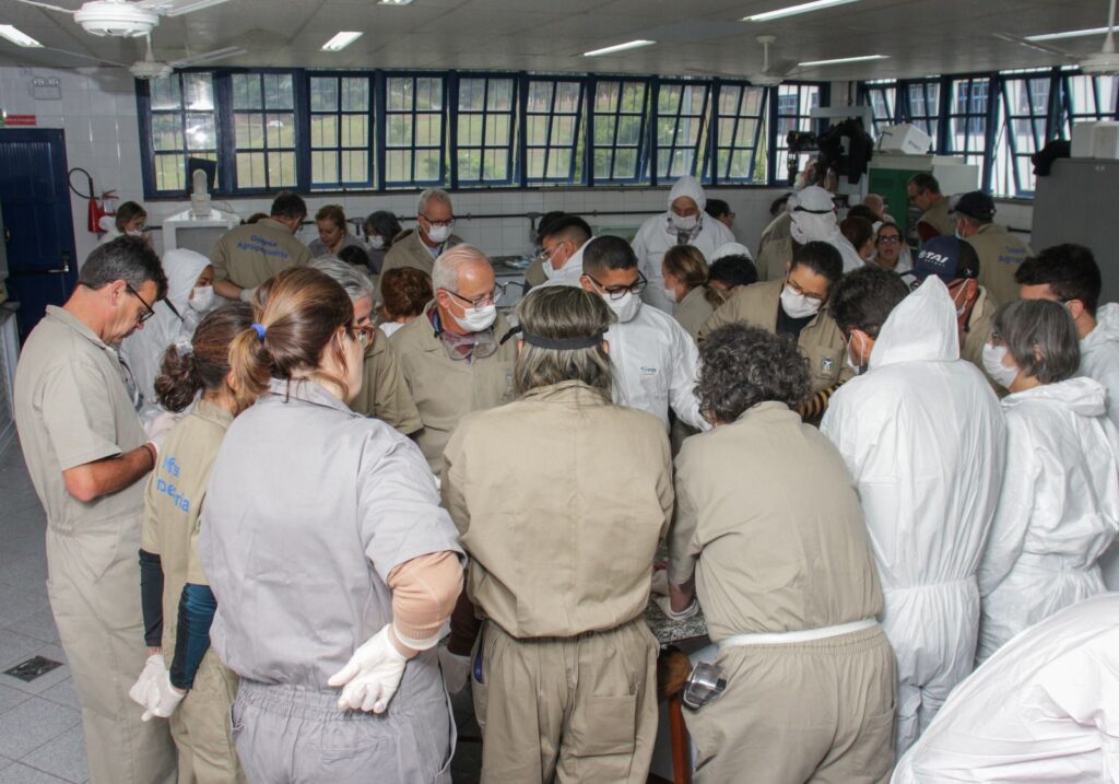 Dia do Médico-Veterinário destaca atuação na defesa agropecuária do RJ