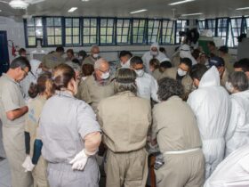 Dia do Médico-Veterinário destaca atuação na defesa agropecuária do RJ