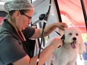 Escola Móvel Pet oferece serviços gratuitos em Cabo Frio