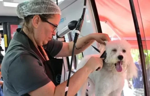 Escola Móvel Pet oferece serviços gratuitos em Cabo Frio