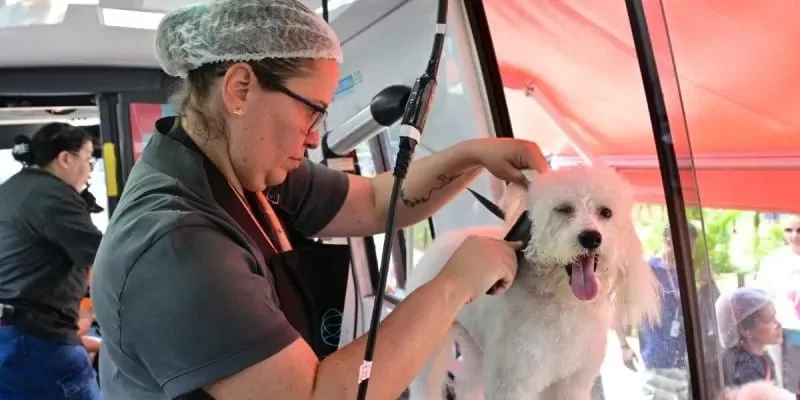 Escola Móvel Pet oferece serviços gratuitos em Cabo Frio