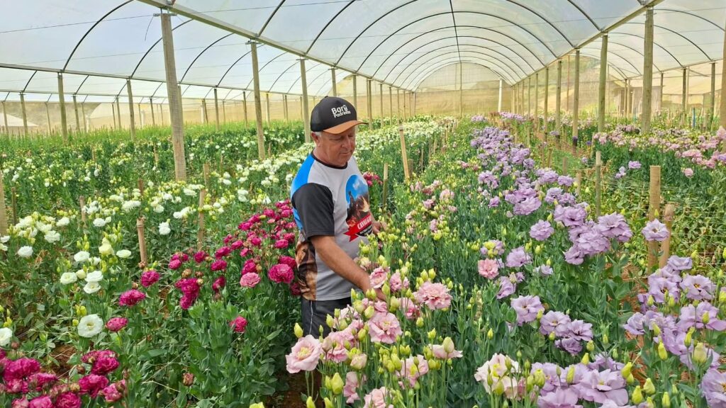 Floricultura movimenta R$552 milhões por ano no Rio