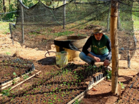 Porciúncula oferece assistência técnica a produtores de café
