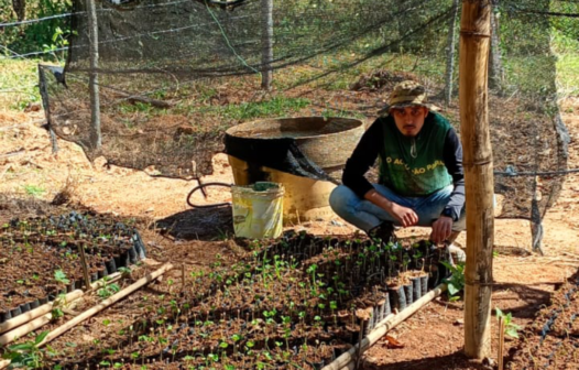 Porciúncula oferece assistência técnica a produtores de café