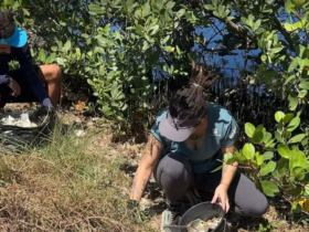 Voluntários recolhem resíduos na Laguna de Araruama