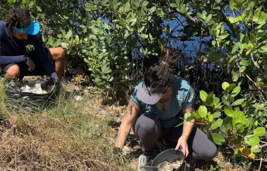 Voluntários recolhem resíduos na Laguna de Araruama