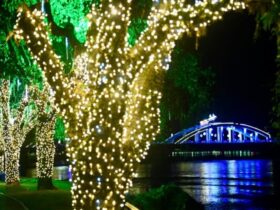 Barra Mansa inicia montagem da decoração de Natal