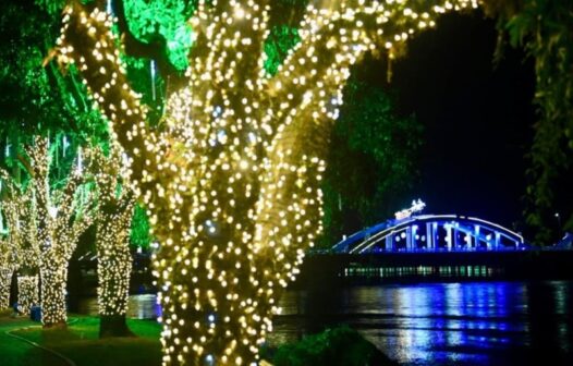 Barra Mansa inicia montagem da decoração de Natal